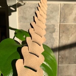 Genuine Leather Taupe Belt Banana Republic | XS-M